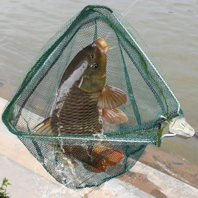 Telescopic Landing Net