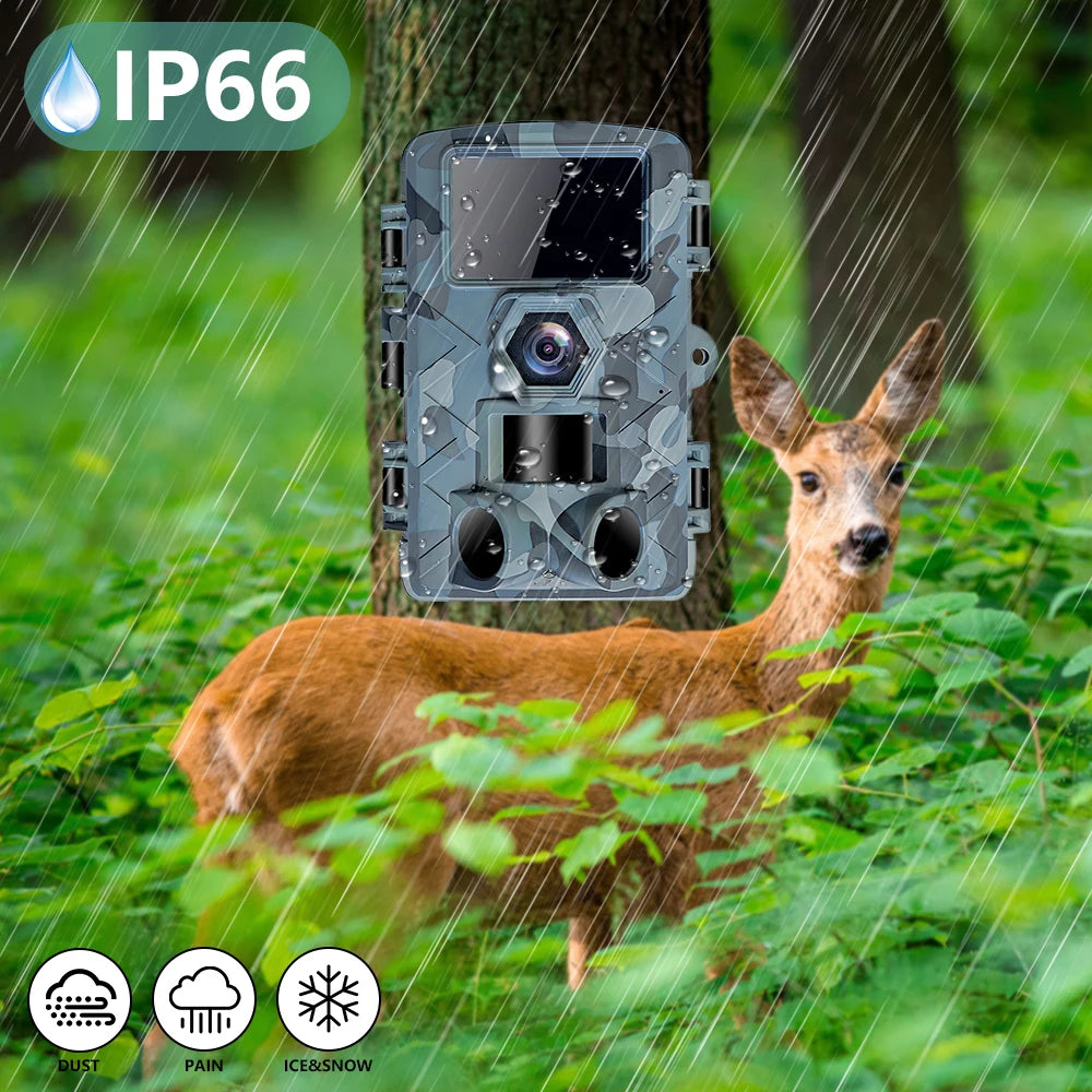 WiFi Motion Detection Trail Camera