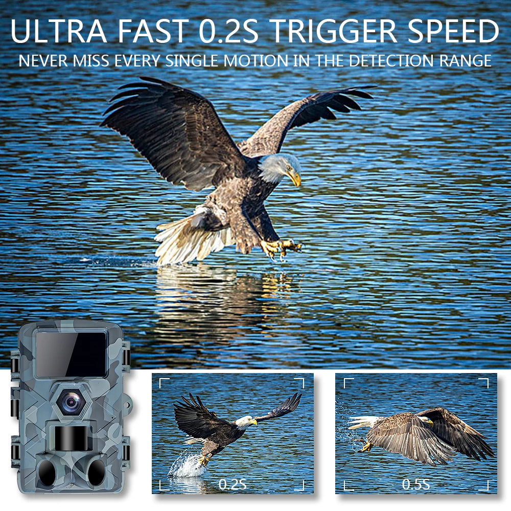 WiFi Motion Detection Trail Camera