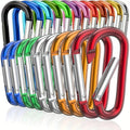 10Pcs Mini Carabiner Keychain