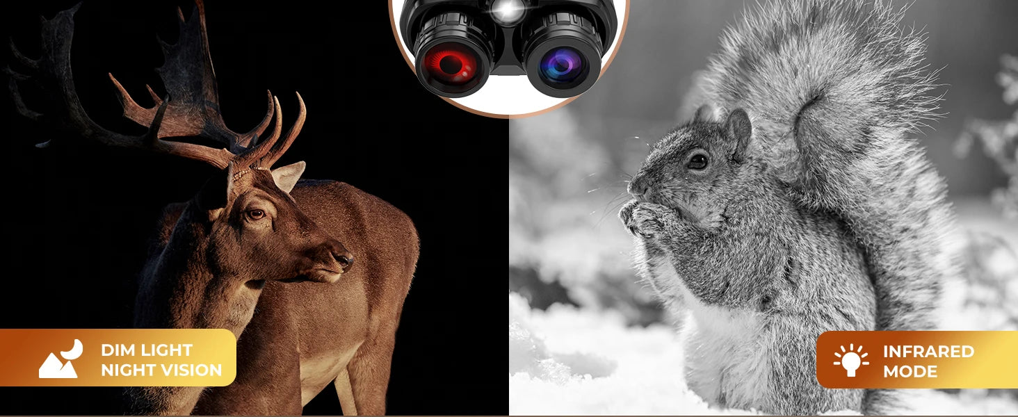Night Vision Binoculars