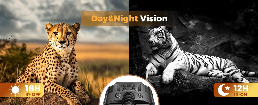 Night Vision Binoculars