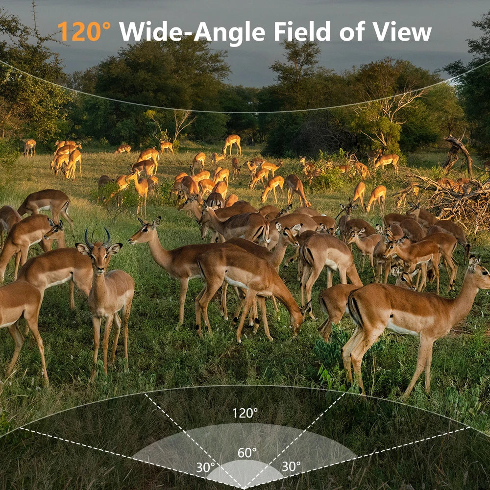 WiFi Motion Detection Trail Camera