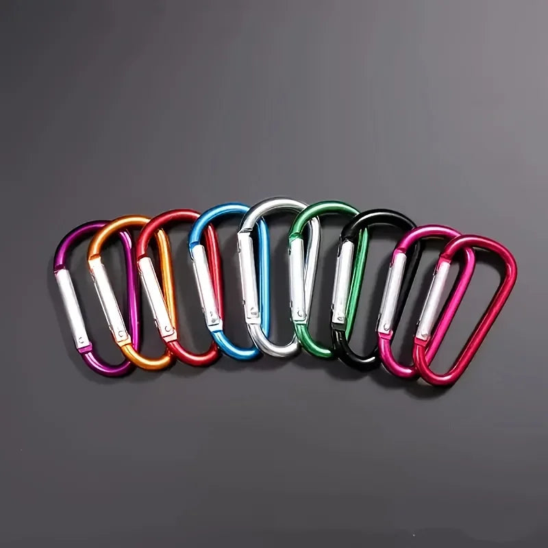 10Pcs Mini Carabiner Keychain