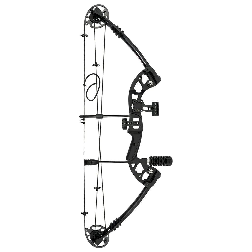 Right Handed Compound Bow Arrows Set