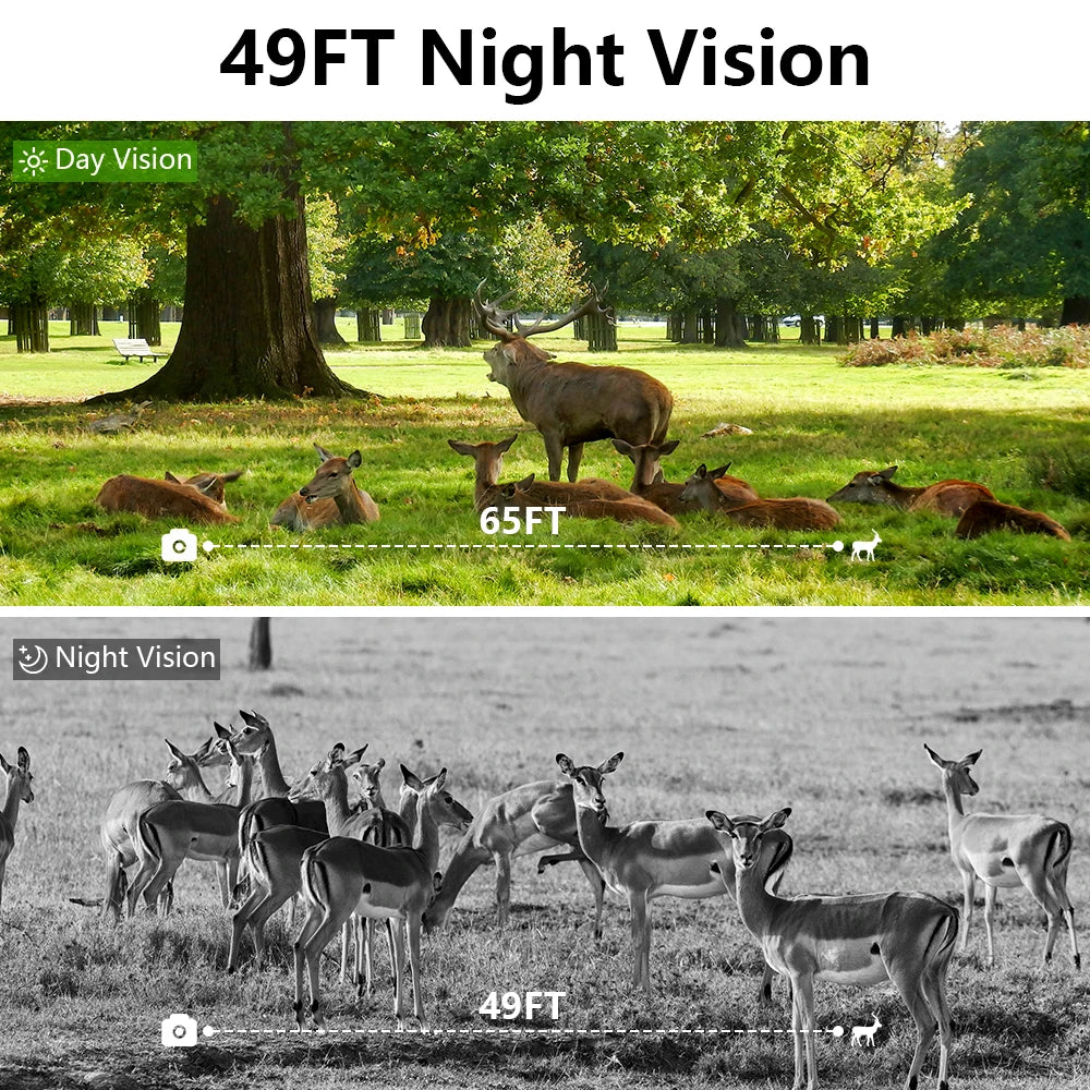 WiFi Motion Detection Trail Camera