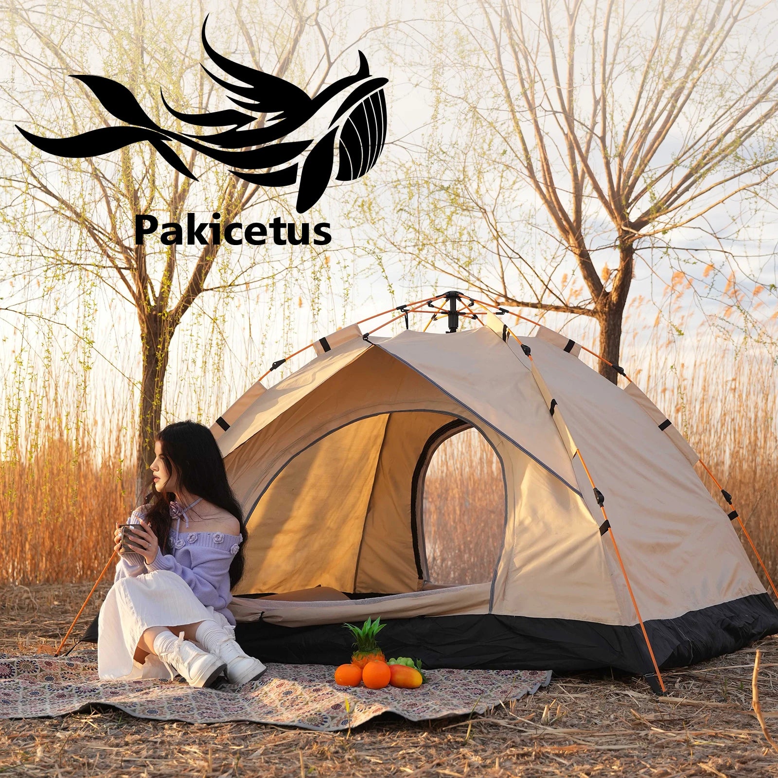 2-4 Person Camping Windproof Tents