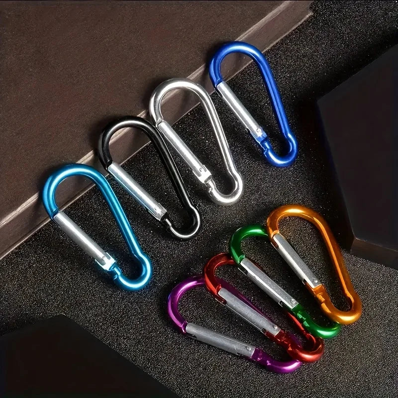 10Pcs Mini Carabiner Keychain