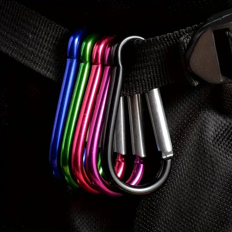 10Pcs Mini Carabiner Keychain